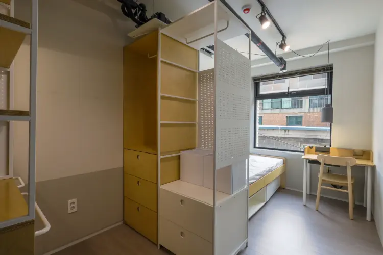 Single Compact 사진 1