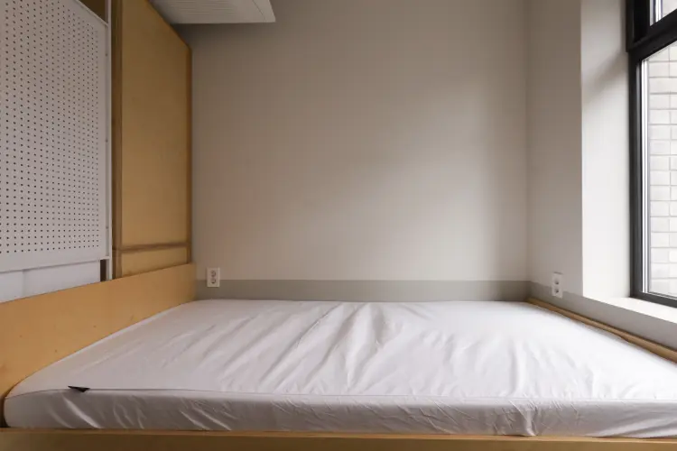 Single Compact 사진 3