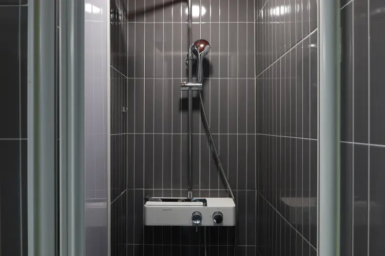 Single Standard 사진 4