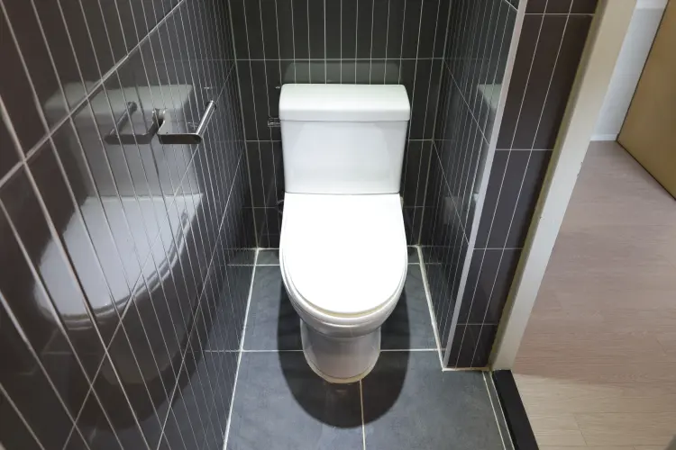 Single Standard 사진 5